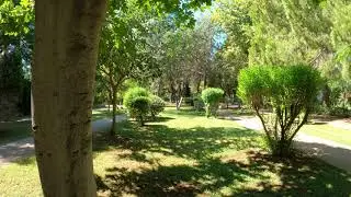 Walking in the park 4K Royalty free stock video