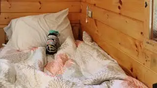 Brown Ledge Camp, Summer 2019
