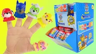 Full case of Paw patrol mashems and singing