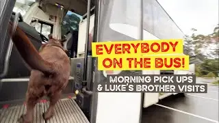 Morning Doggy Bus Pick Ups and Luke’s Brother Visits