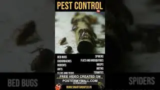 #pestcontrol #termitecontrol #pestcontrolservice #bedbugtreatment#termitespray