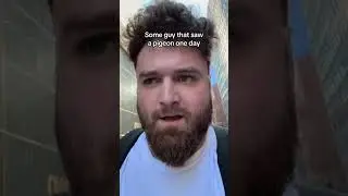 THE GUY THAT SAID PIGEONS ARE SPY CAMERAS #shorts #comedy #pigeon #camera #spy