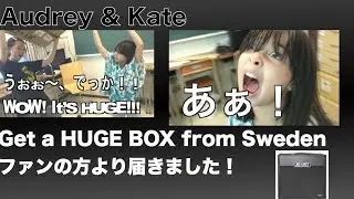 Audrey & Kate Get a HUGE BOX from Sweden! スウェーデンから届きました！
