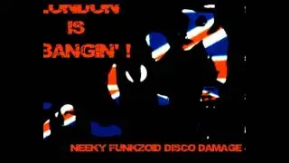 Neeky Funkzoid Disco Damage   London is bangin'