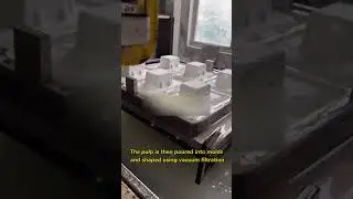 Introduction to the Paper Pulp Molding Process.