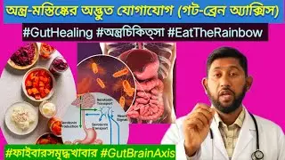 অন্ত্র-মস্তিষ্কের অদ্ভুত যোগাযোগ (গট-ব্রেন অ্যাক্সিস)Gut Health Essentials: Why  Major Focus in 2026