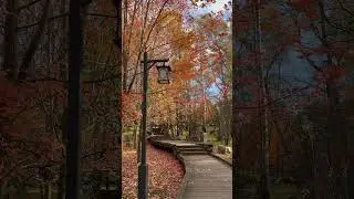 Huamin park in fall. Part 3.