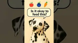 Can Dogs Eat Apples, Blueberries, or Carrots? 🐾 Safe Treat Tips!