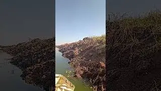 Flagrante de crime ambiental em remada na lagoa da cidade Jardim