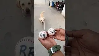 Kkr vs RR | Kolkata Knight Riders vs Rajasthan royals #ipl2025