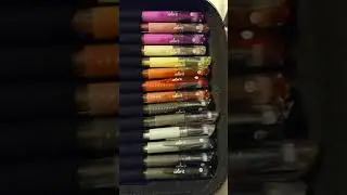 Colorit 48 count Glitter Gel pens review