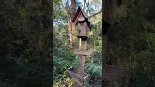 Cozy Garden Vibes & Rustic Birdhouse | Peaceful Nature Sounds in a Countryside Setting