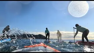 2026年1月4日(日) 午後 SUP トレーニング　3.6km  EVERREADY
