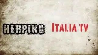 Nuova Intro dei filmati di Herping Italia Tv