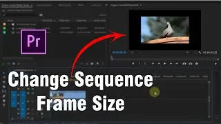 How To Change Sequence Frame Size - Adobe Premiere Pro