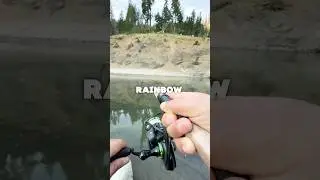 Rooster Tails Work In All Waters Where Trout Live #mountain #fishing #shorts