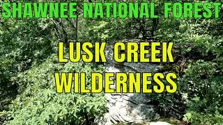 Lusk Creek Wilderness Hike - Hart's Bluff Trail