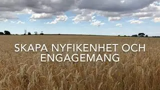 Nyfikenhet