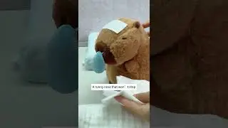 My  capybara has a high fever and a runny nose that won&rsquo;t stop #capybara #toys
