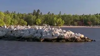 Save My Lake