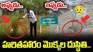 ఎండిపోతున్న హరితాహారం..! Bayyaram to Mahabubabad | #harithaharam  | News 80 Telugu