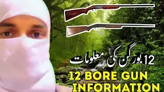 12 Bore Gun Information 2024|12 bore Gun Made in Pakistan|DailyVideos
