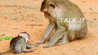 DEEP SAD OPIE !! Poor Opie stop move deep scare mom bite deny milk.