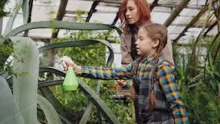 Young woman professional gardener is teaching her adorable little daughter to wash leaves of large