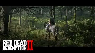 The Scarred Blue Roan Nokota RDR2 || A random encounter (chapter 2 early)