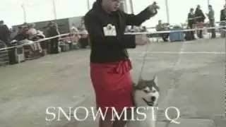 SNOWMIST'S Q DEUS EX  ~TEDDY~ MOVE