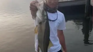 Skipping Docks with Swimbaits for Big Snook!