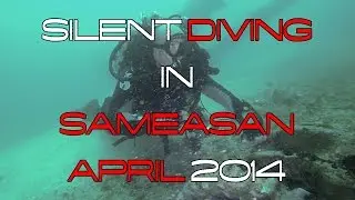 The SS Suddhadib (Hardeep) Shipwreck - Silent Diving In Sameasan