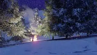 Snowy Forest With Fire Crackling Sounds | Sleep & Relaxation | Healing Zen Music