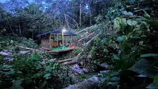 6 hari camping di dalam hutan, membuat pondok dan mengeksplor hutan kalimantan 