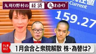 日銀1月会合と衆議院解散　株・為替・金利は？【丸刈り野村の経済“丸わかり”】