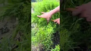 The immersive crop cutting experience makes every cutting easy and comfortable.