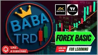 Start Trading from Zero | Forex, Crypto, US100 & US30 Course
