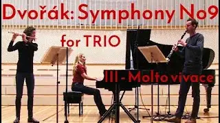 A. Dvorak Symphony No 9-III From the new world - TRIO flute, clarinet, piano