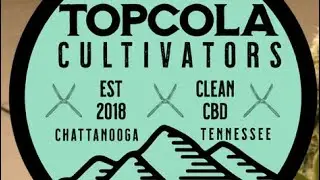 Cantaloupe: High ThcA Hemp By Top Cola Cbd ￼