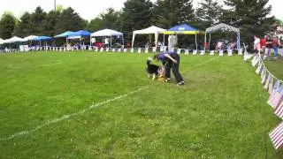 Kathy & Maze - perfect Toss and Fetch round