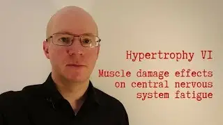 Muscle damage effects on central nervous system fatigue