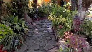 'Backyard Oasis' - Historic Lilly House - Wilshire Square - Santa Ana, CA - July 2013