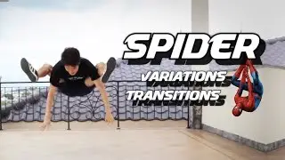 Spider Variations & Transitions in Breaking