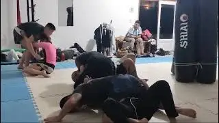 TERAPIAS PARA TODOS LOS GUSTOS... PITBULL GYM JUNÍN DE LOS ANDES