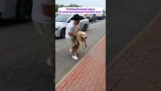 A family saved a dog from street and welcome it to their home #animals #dog #pets #rescue