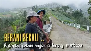 JELAJAH DESA LERENG GUNUNG MERAPI MERBABU #3 | petani sayur di lereng gunung merbabu