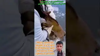 الرحمة لا تشترى بل هي نورٌ يقذفه الله في قلوب عباده الصالحين #رحمة#تأملات #الإنسانية#اقتباسات #viral