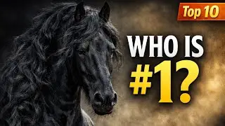 Top 10 Most Beautiful Horse Breeds in the World  (From 10 to 1). ТОП-10 Самых Красивых Пород Лошадей