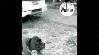 Marcus Walnus - Thom Yorke remix