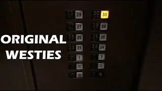 Great Original Westinghouse Elevators (ALL BANKS) - Richard J. Daley Center in Chicago, IL